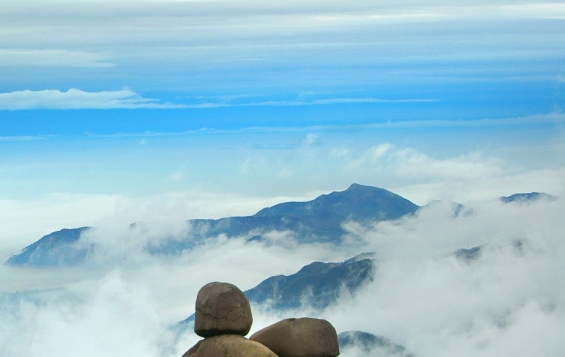 粉象生活宝妈如何挣钱