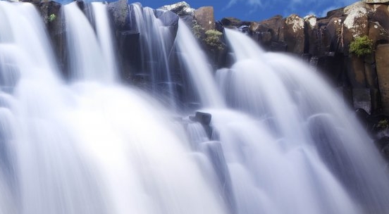 沈阳粉象生活软件