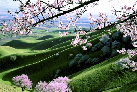 粉象生活和淘宝联盟哪个好