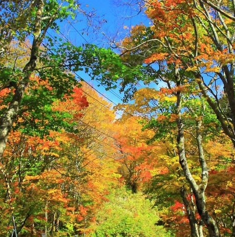 粉象生活代理平台