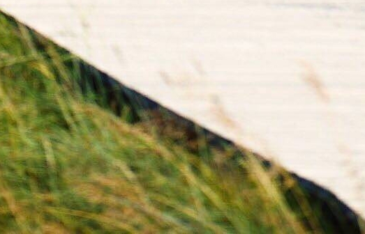 粉象生活邀请码