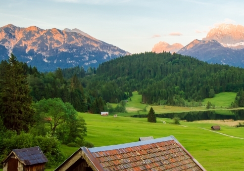 分享粉象生活怎么说