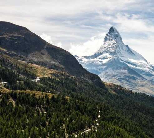 粉象生活怎么赚取佣金