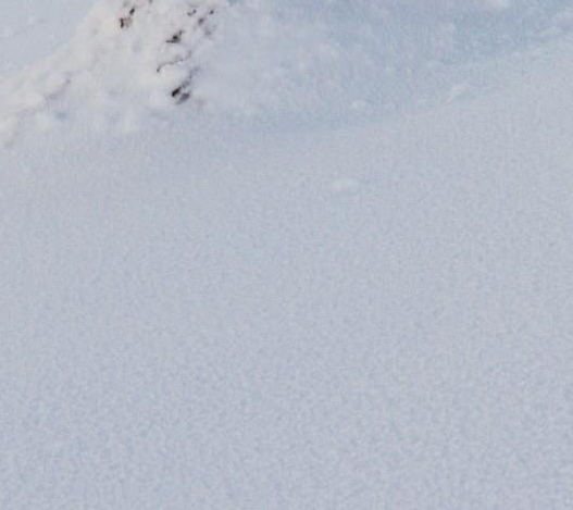 粉象生活靠谱吗