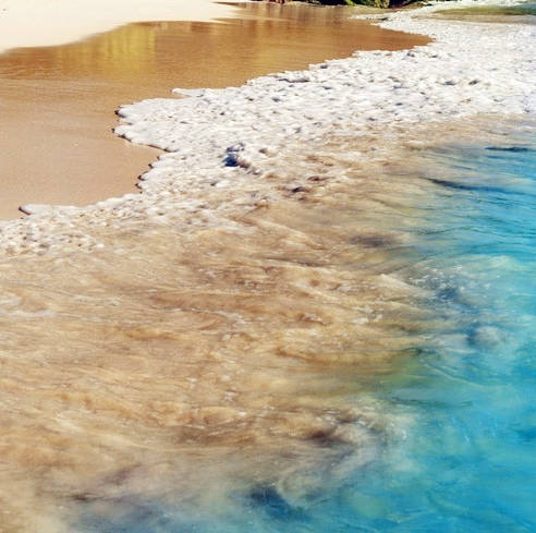 粉象生活怎么安全