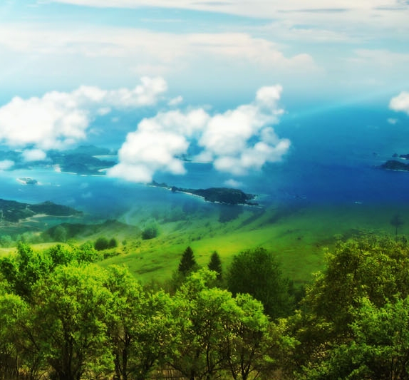 粉象生活登录注册了怎么解除