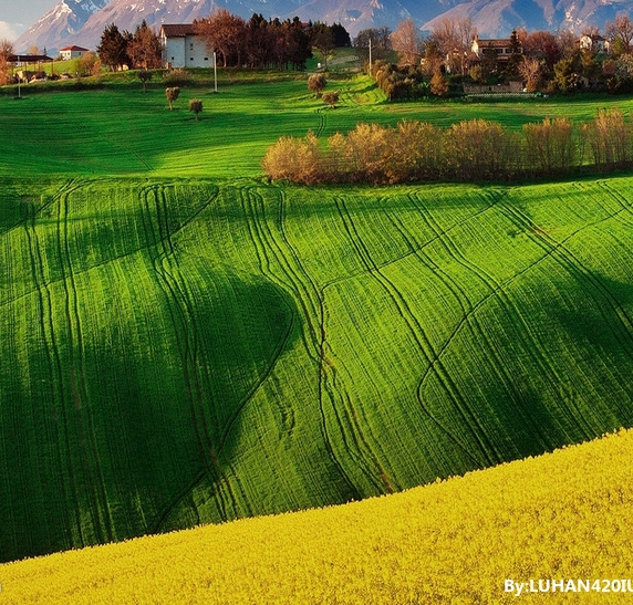 粉象生活佣金明细