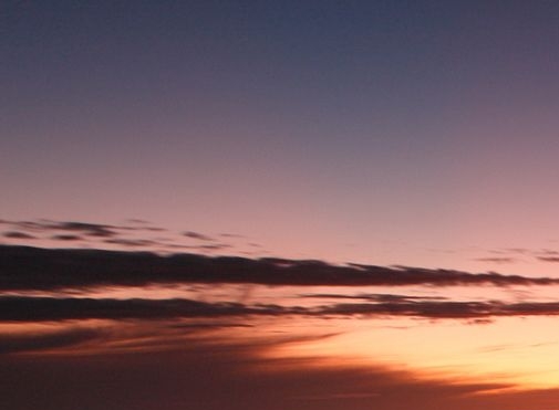 下载粉象生活app