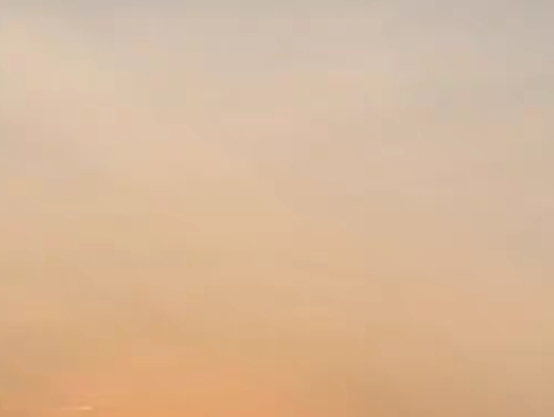 粉象生活怎么返利