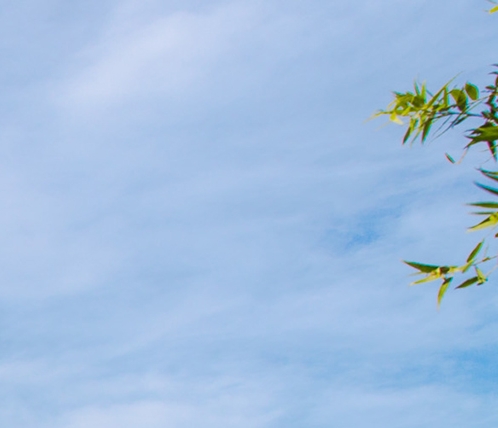 粉象生活能赚到钱吗