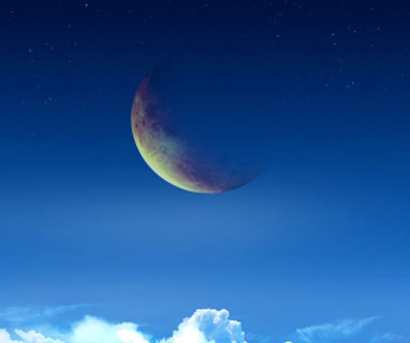 粉象生活模式合法吗