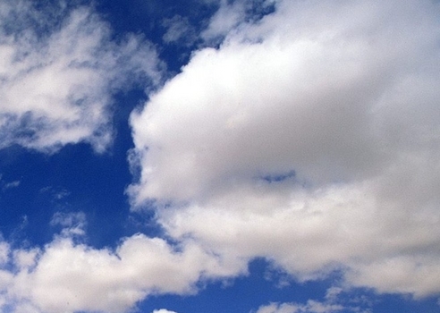 粉象生活登录注册了怎么解除