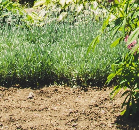 粉象生活如何提高开店成本