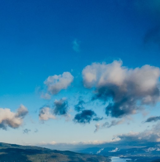 佛山粉象生活怎么样