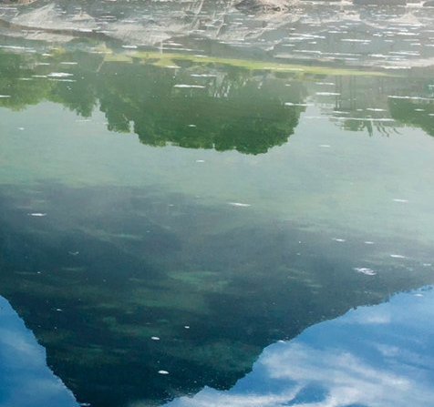 广州粉象生活可信吗