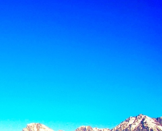 粉象生活看准网