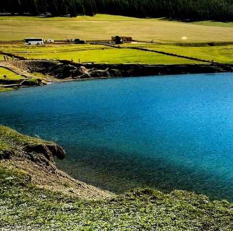 粉象生活联手亚马逊