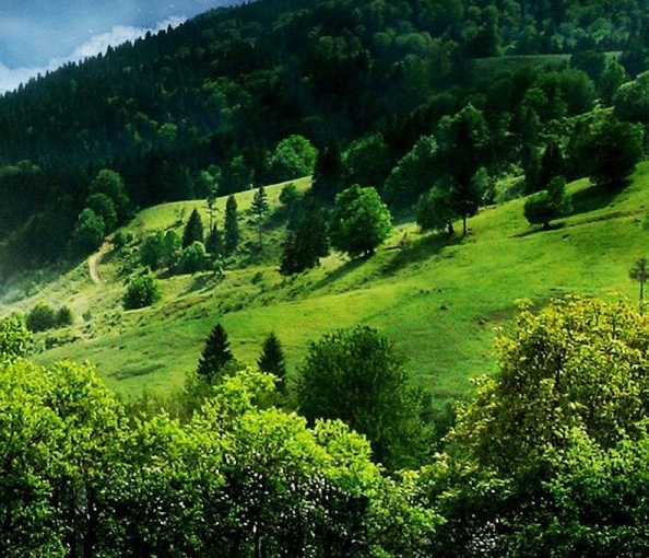 粉象生活下载app