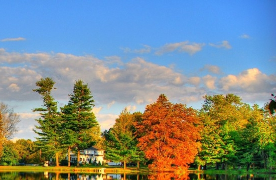 下载粉象app下载