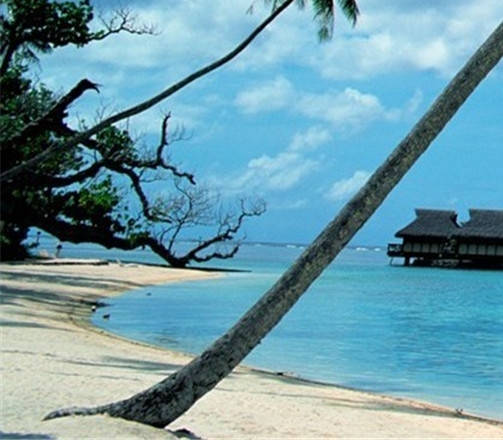 粉象生活月入百万