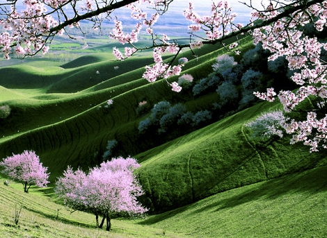 朝鲜旅游生活视频