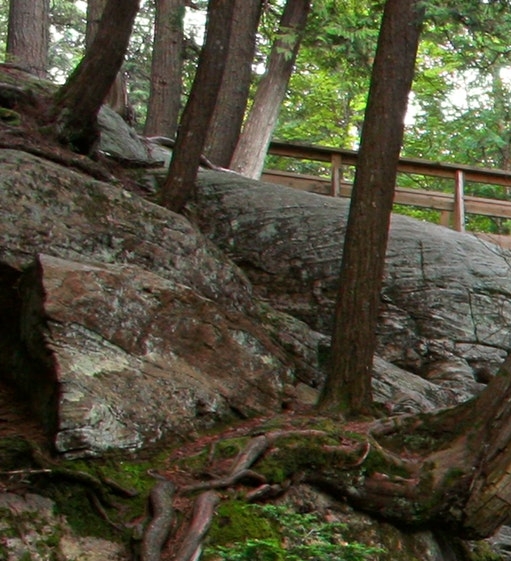 粉象生活项目来源