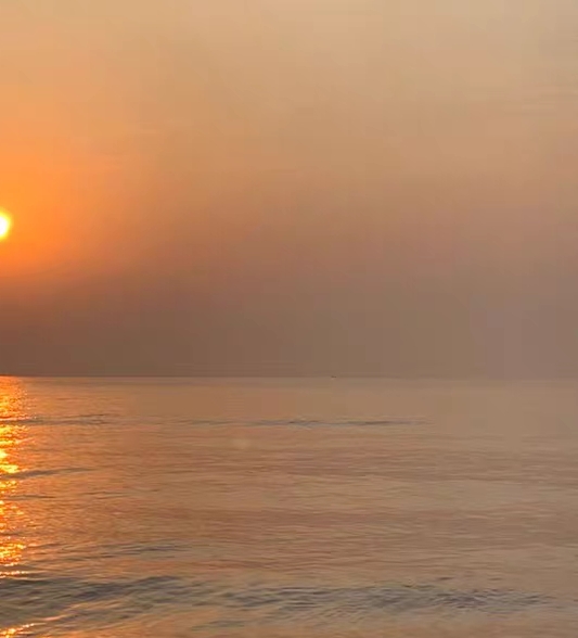 浙江创新粉象生活怎么样