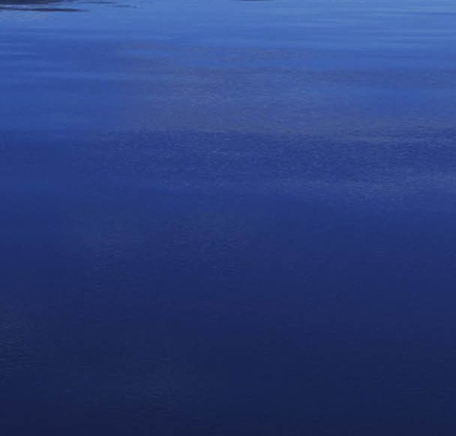 拼多多粉象生活哪个平台好