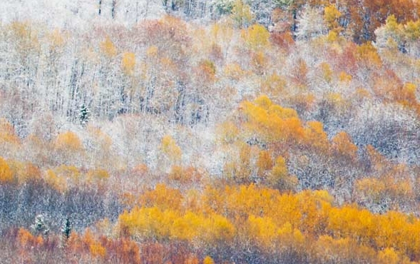 惠州粉象生活使用教程