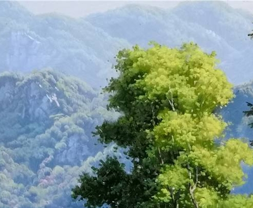 粉象生活粉丝怎么增加