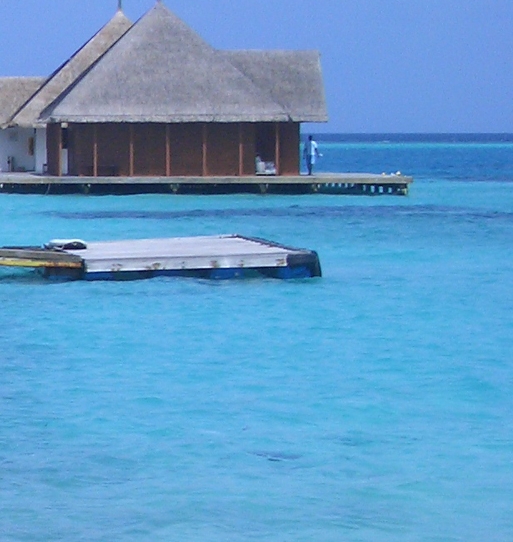 广东粉象生活如何使用