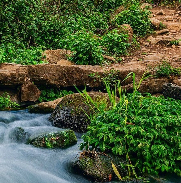 粉象生活推广有用吗