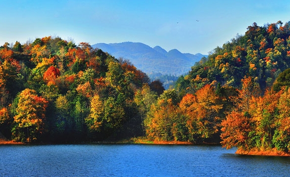 粉象生活app怎么搜索