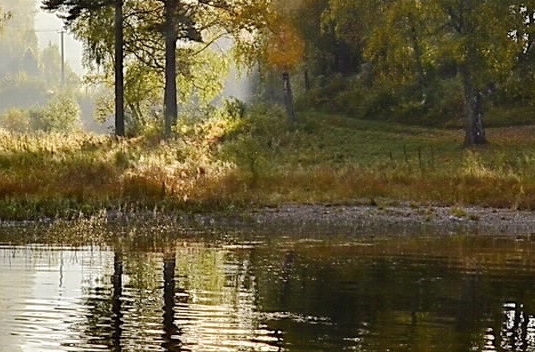 粉象生活官网首页