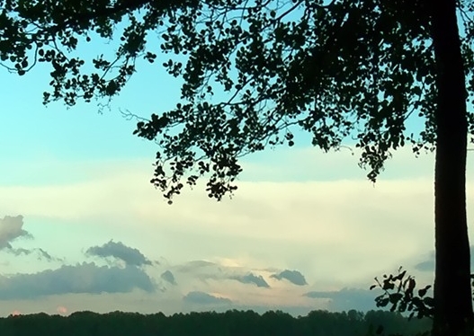 粉象生活怎么赚钱