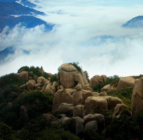 粉象生活如何做好行业