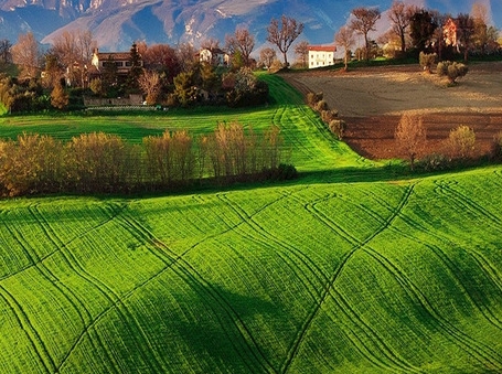 东莞粉象生活积分