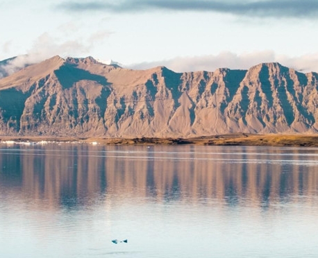 粉象生活粉丝怎么增加