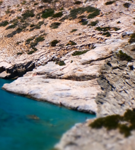 粉象生活和淘宝