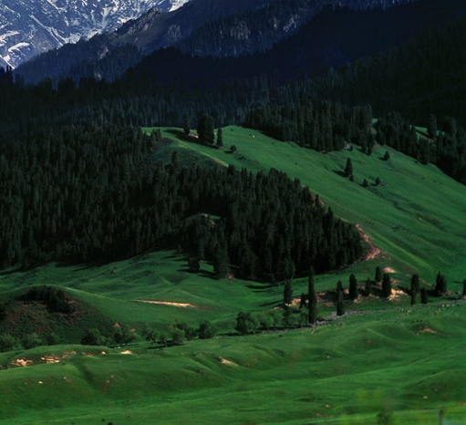 粉象生活推荐商品