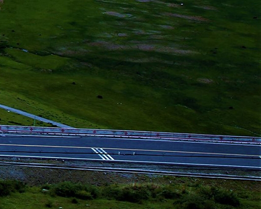 粉象生活的奖项