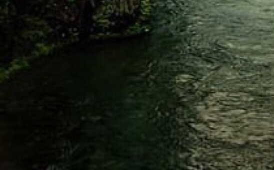 粉象生活怎么赚钱