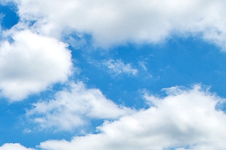 粉象生活下载app