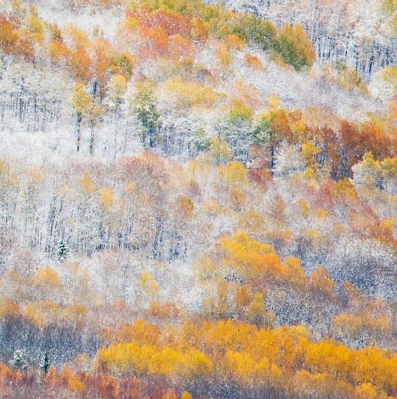 人生向左生活向右生活的句子