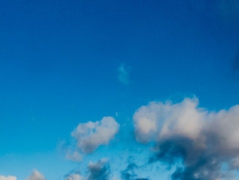 浅粉象和罗斯福六号