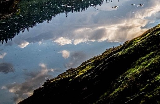 粉象生活注销了怎么重新注册