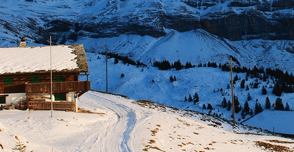 粉象生活卖什么产品好