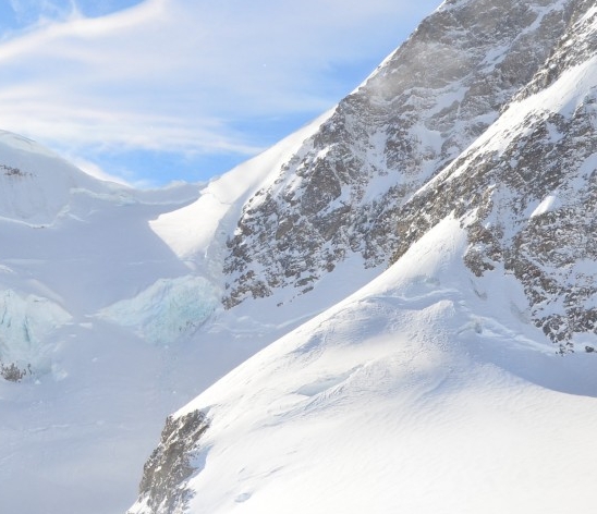 世界粉象生活图片