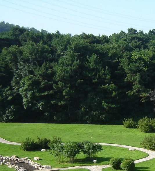 最新版粉象生活app下载安装