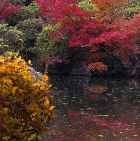 如何申请学生生活补助